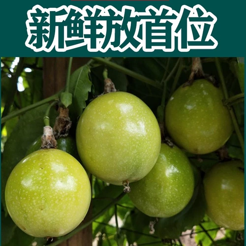 Золотой маракуйр Qinmi № 9 очень большой фрукт Qinmi Fresh 5 Catties Бесплатная доставка Гуанси желтый 10 чистый кислый сладкий