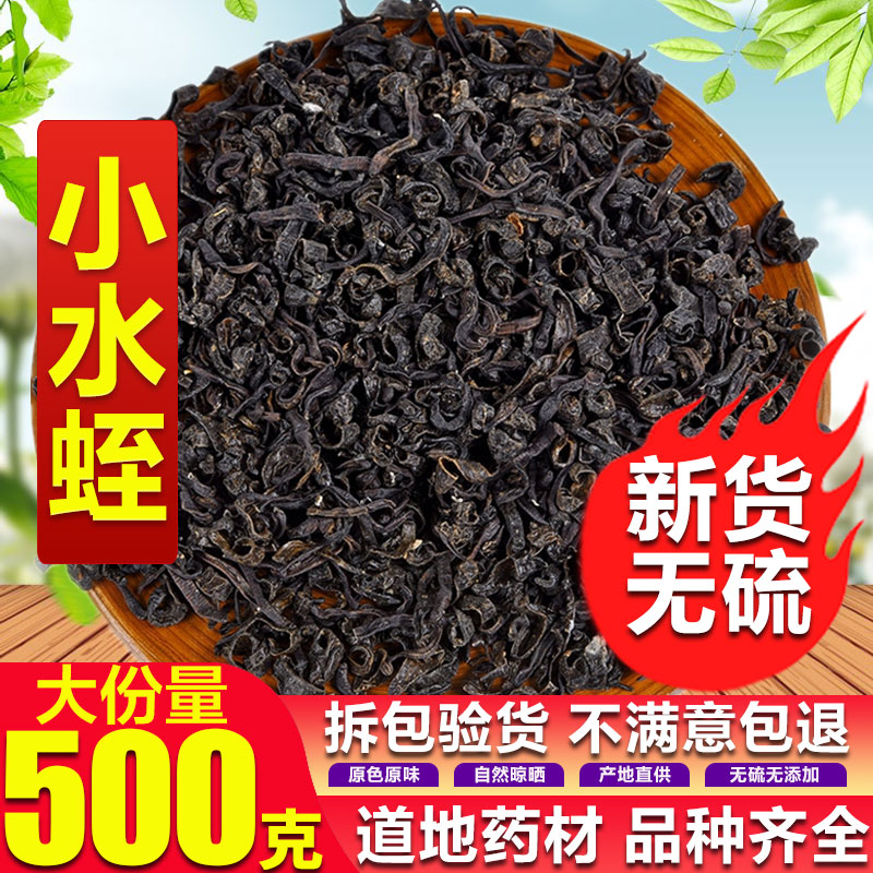 Chinese Herbal Medicine Leech Dry 500 gr Leech Leech Dry Goods Bao Clean Water Dry Pint Can Mill Powder small leech