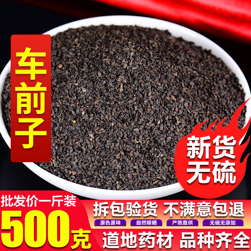 Plantain Seed 500 gr T Grade Natural Tea Car Money Sub Plantain Seed Cart Front Real Selection Good Quality Baking Powder