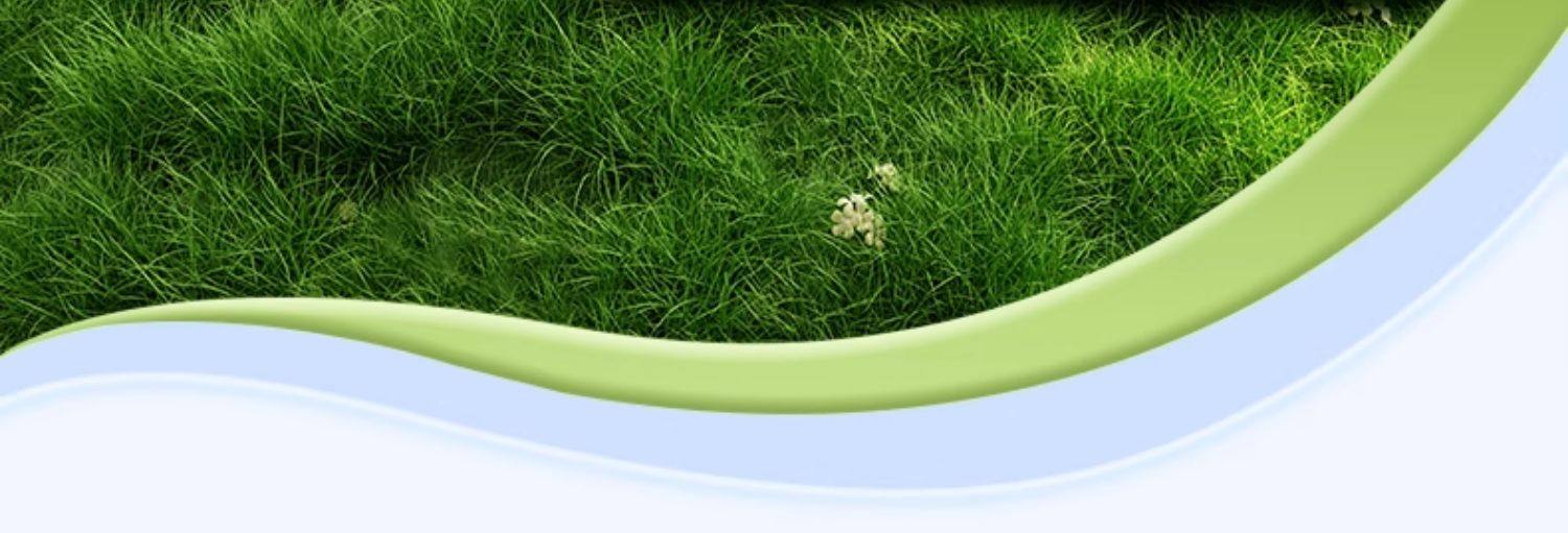 香港大藥房 蒼耳子鼻舒貼 10貼/盒 草本植物萃取 鼻康貼 舒緩鼻子不適 緩解鼻塞鼻幹 幫助睡眠