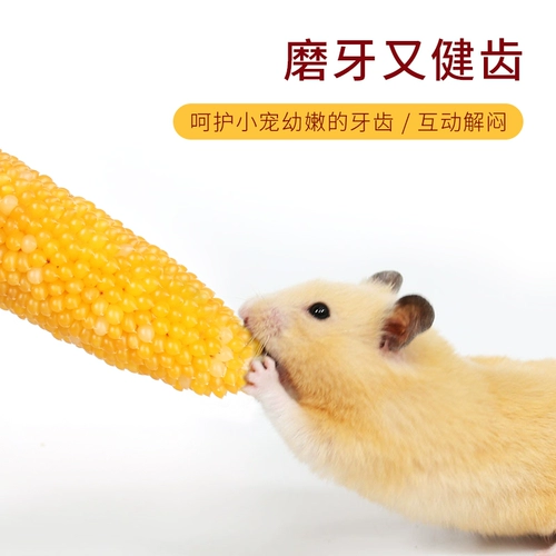 HAM Semi Corn Baseball Mogan стержневые закуски Зерно Золотая кожа медвежь