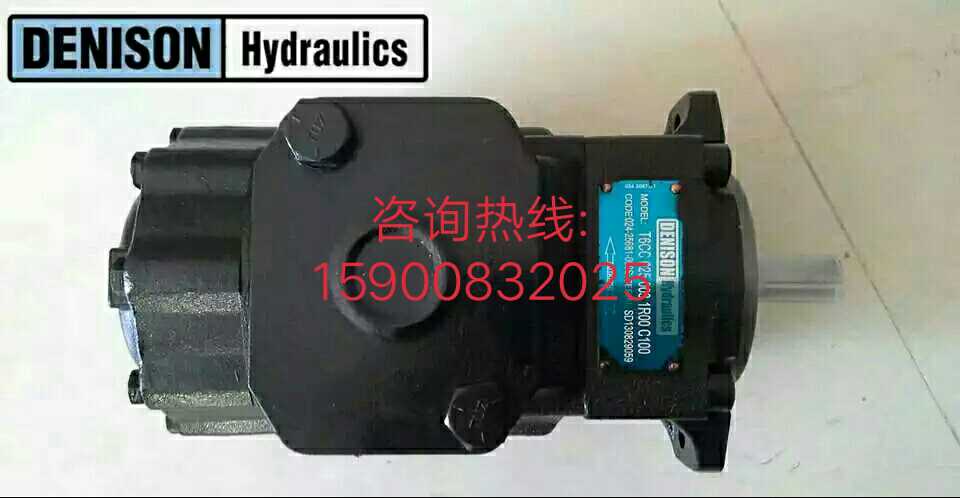 Import DENNSON Denison vane pump T6CC-025-003-1R00 duplex hydraulic help Pu