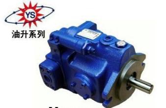 Taiwan Oil Liter Plunger Pump V23A4R10X V23A4R10X V23A1R10X V23A2R10X V23A1R10X V23A1R10X