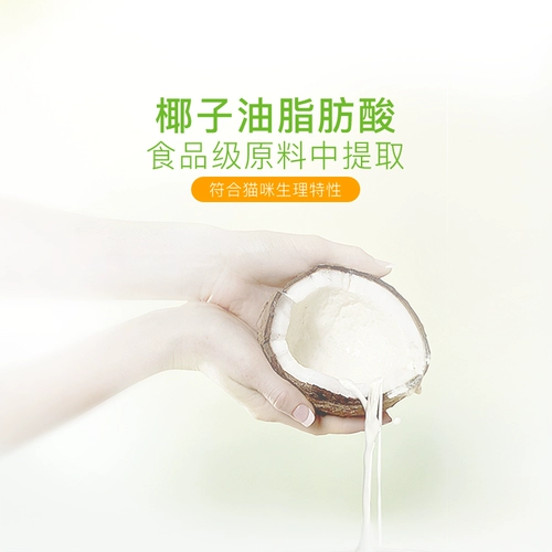 Дезинфекция маленького домашнего кота дезинфекция дезинтезированная дезинфекция спрей -кошка лаполидированная монохрич