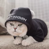 Прилив бренд красный кот одежда питомца голубая кошачья ткань марионетка котенок котенок безкрыть кот анти -фар -волосы осень зимняя одежда теплая одежда