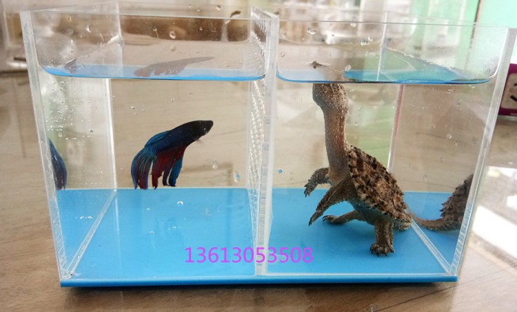 Professional custom acrylic bucket fish tank turtle tank turtle sun terrace climbing platform 360-degree viewing fish tank