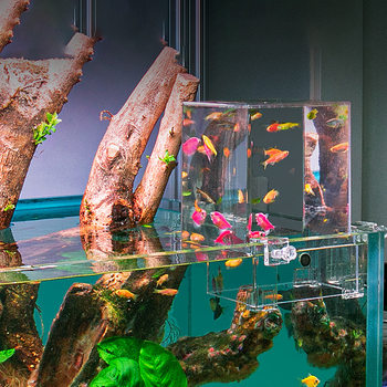 Negative pressure fish tank negative pressure tank bracket creative fish tank suspended fish tank aquarium