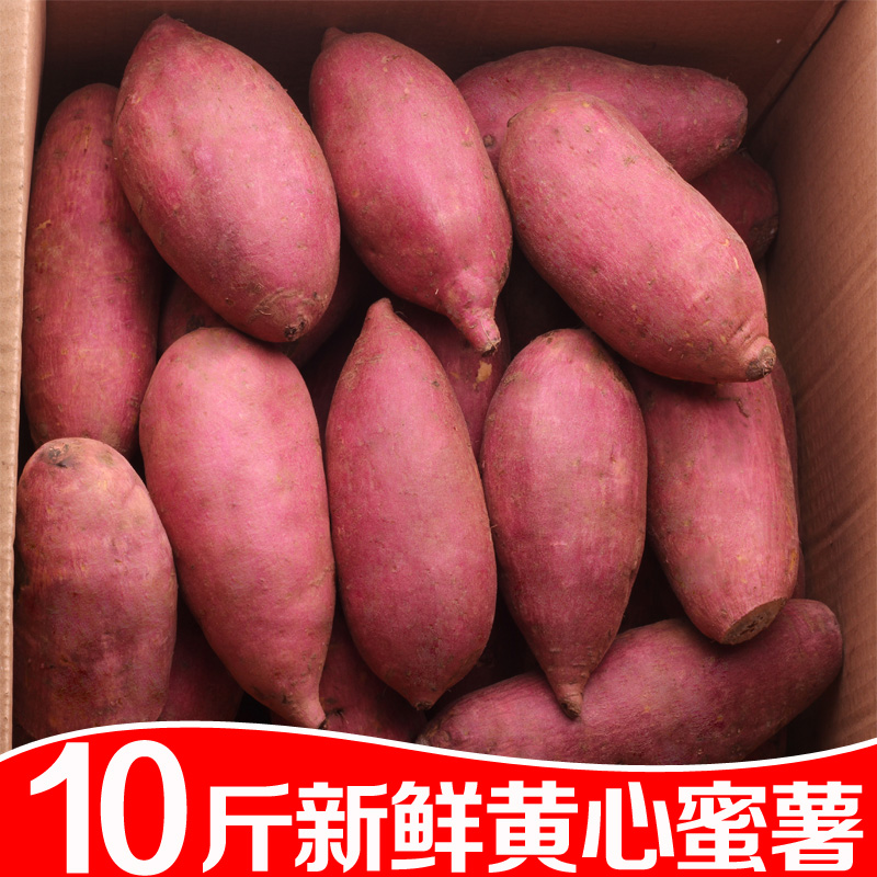 Семена Картофеля Батат Купить
