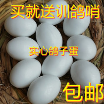 Pigeon Supplies Utensils Plastic Solid Pigeon Eggs Fake Dove Eggs Trust Pigeon Dove With Plastic Pigeon Eggs