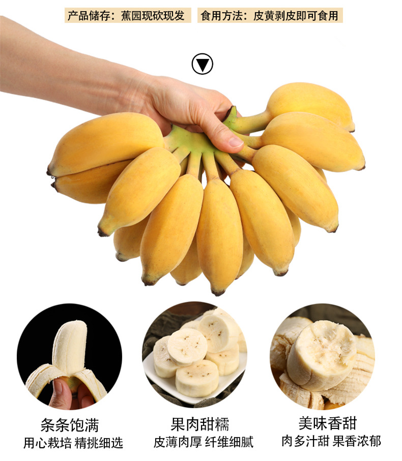 广西小米蕉 带箱10斤 蕉园现割先发 图2