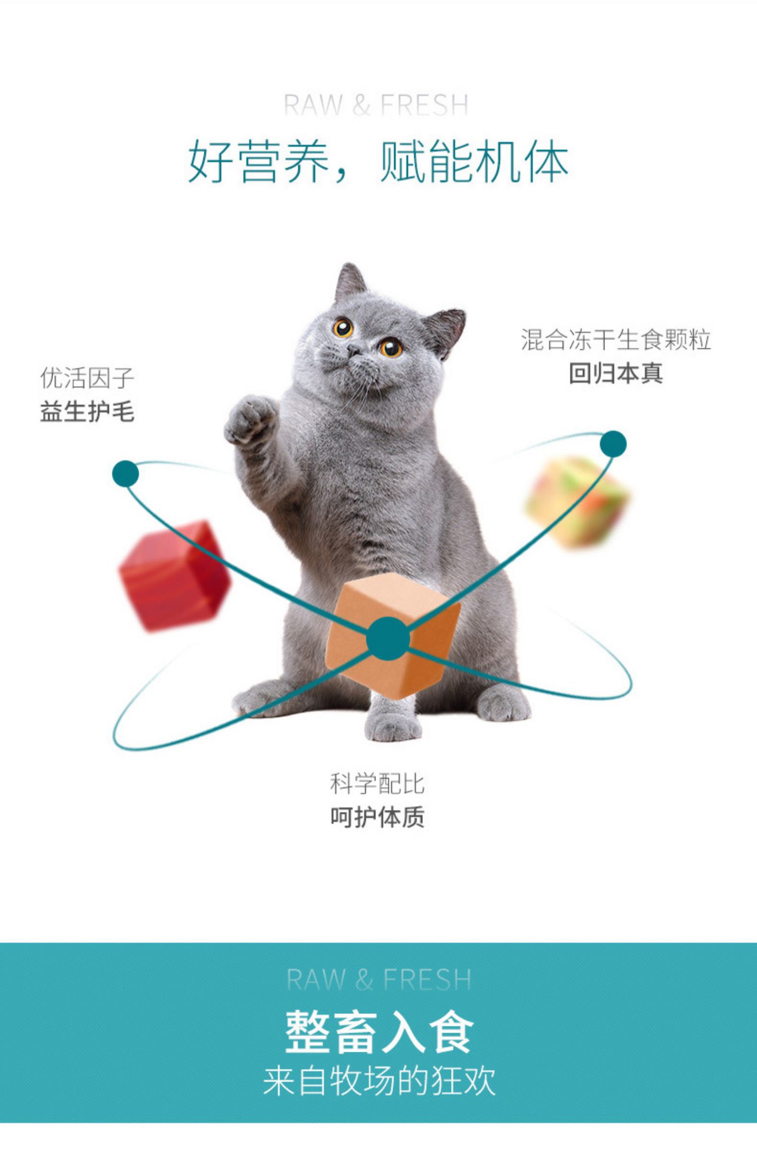 Bernard Tianchun Wugu thức ăn cho mèo nhạy cảm thấp và loạt cỏ tươi lễ hội Thức ăn cho mèo giá mèo thời gian 2kg - Cat Staples mua thuc an cho meo
