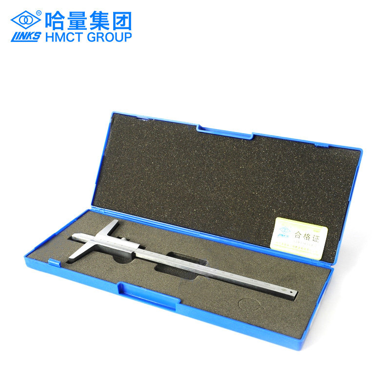 Harbin measuring edge furniture group LINKS Kazakh Quantity Stainless Steel Depth Cruise scale 0-200 300 * 0 02