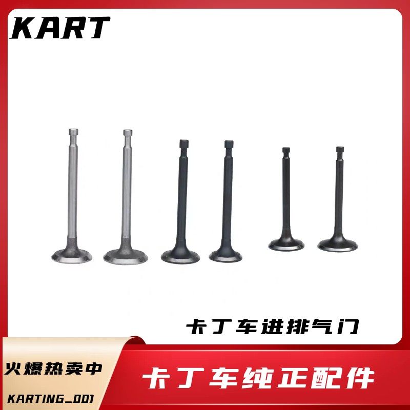 Kart valve suitable for 160CC race 200CC Teller 270CC390CC holy kart engine