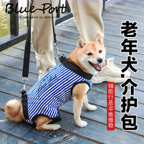 Blueport Old Dog Assisted Outgoing Care Package After Traction Traction Take Old Dog Adjustable