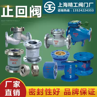 Shanghai Seiko valve cast steel check valve H41X stainless steel check valve