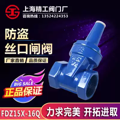 Shanghai Seiko Valve Anti-theft Silk Mouth Soft Sealed Gate Valve FDZ15X-16Q DN15-100