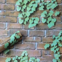 Small fresh wallpaper bedroom bedroom wallpaper dormitory college students warm girl dormitory wallpaper 10 meters