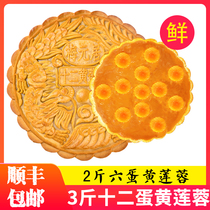 Six yellow and white lotus seed paste moon cakes 2 3 catties Cantonese-style handmade 12 egg yolk lotus seed paste Mid-Autumn Festival Mei Yuanju gift box SF