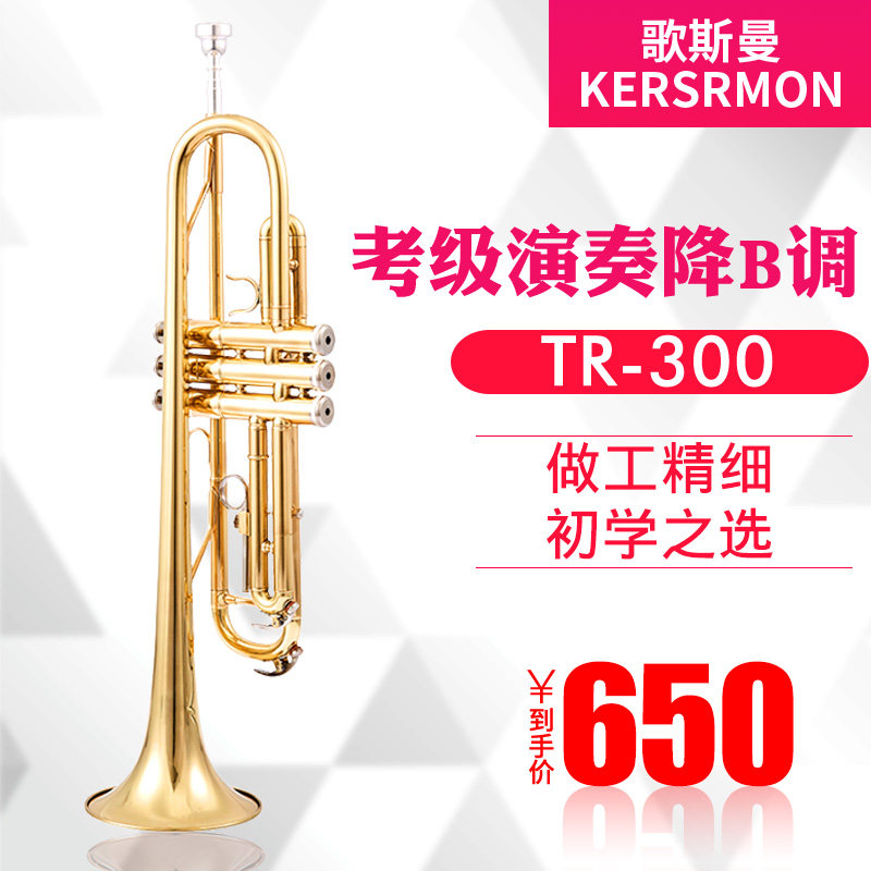 Song Sissmann Small number instrument beginners small number golden TR-300 drop of B-tone manufacturer direct sales Shunfeng