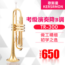 Song Sissmann Small number instrument beginners small number golden TR-300 drop of B-tone manufacturer direct sales Shunfeng