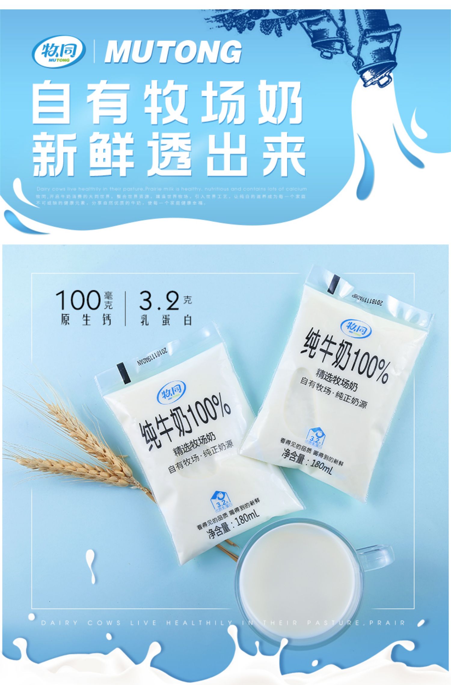 牧同营养早餐纯牛奶整箱180ml*14袋