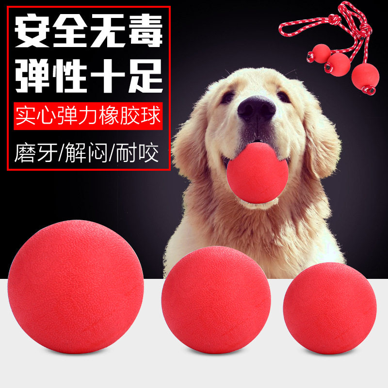 Pet teddy puppy medium and large dog molar bite-resistant ball training real heartbeat jump ball golden retriever play dog ​​toy