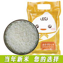 2020 New rice Early rice indica rice rice 5 pounds indica rice Southern rice silk seedling rice farm-produced fried rice Non-northeast