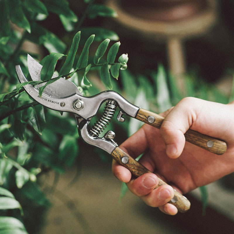 Tree branch scissors Flower art scissors Pruning branches Fruit tree pruning shears Garden gardening Fruit trimming Scissors Household tools