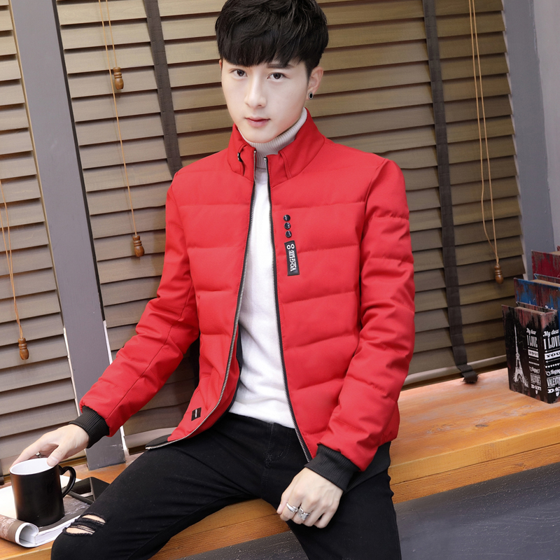 Blouson hiver pour homme - Ref 3113031 Image 4