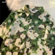 Военный зеленый D2301-Green