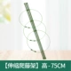 【Shendy -Thrinkable Tengdi Leate】 High -75CM