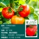 Bai Guoqiangfeng томатный семян