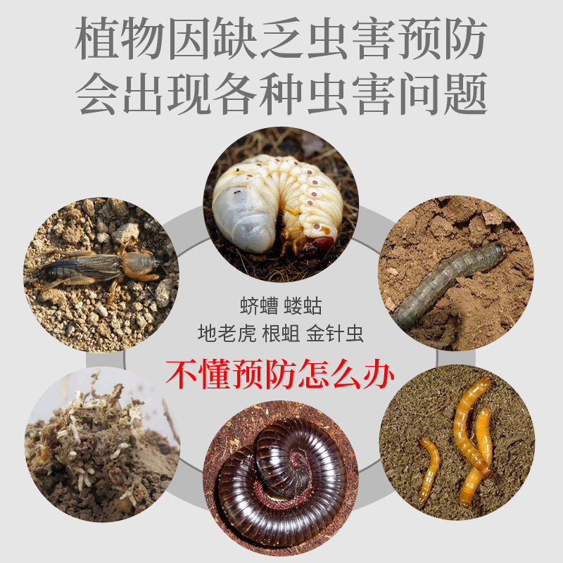 原色花卉病害虫百科 6 Amazon.co.jp: 原色花卉病害虫百科 (6) : 農山漁村文化協会: Japanese