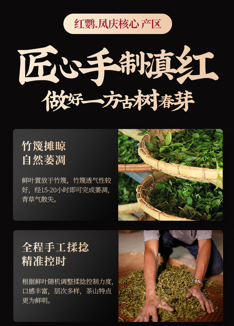 【古陌】云南工夫滇红茶红鹦春茶