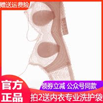 Schuoxygen Summer Pole Extremely Thin Underwear Woman Breathable Lace No Steel Ring Anti-Walk Light Rabbit Ears Cup no Mark Jelly Bra