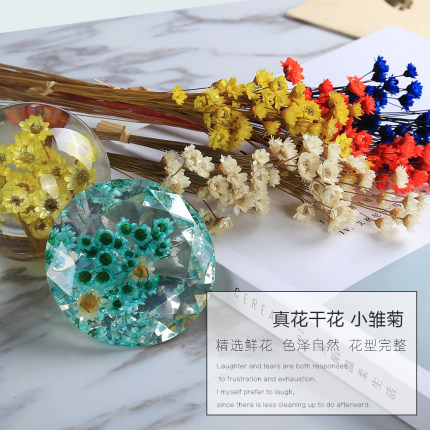 Autumn Landiy crystal gum genuine flower dry flower evergreen flower small daisy small starry ear nail handmade accessory material