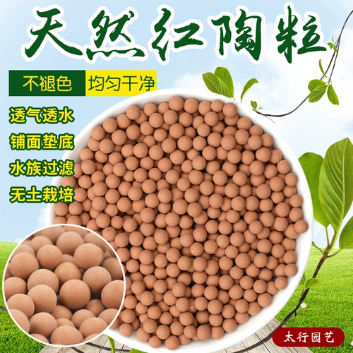 Shenshui Ceramics Polynuts с нижней частью каменных гидропонных растительных камер ростки, рис, рисовый шарик, рыбные овощи, рыбные овощи, без посадки почвы