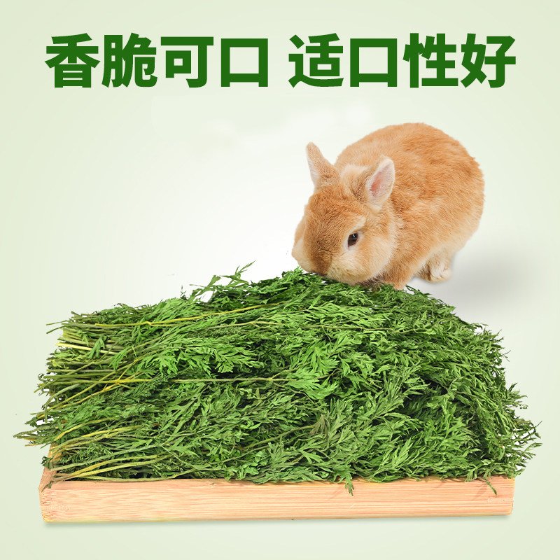 🌟超萌宠物零食大揭秘！胡萝卜樱兔兔子干草饲料，龙猫豚鼠的专属美食！🌟-兔兔干草-淘宝好物网
