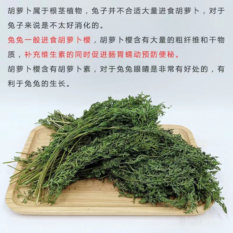 胡萝卜樱兔&兔子干草饲料：给你的龙猫豚鼠最好的草料盛宴！-兔兔干草-淘宝百科网