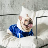 Гетерогенная сшивая текстовая игрова