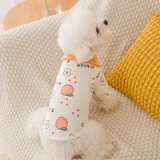 Толстовка с фруктовым принтом, тонкая осенняя одежда для щенка, бишонский шпиц, кошка, маленькая собака, одежда Тедди, осенне-зимняя одежда