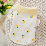 Толстовка с фруктовым принтом, тонкая осенняя одежда для щенка, бишонский шпиц, кошка, маленькая собака, одежда Тедди, осенне-зимняя одежда