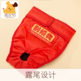 Золотые скорее собачьи физиологические штаны, собаки, собаки, собаки и собаки, домашние животные средней собаки тетя тетя сантехника