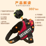 BIDTH BEASS, большой взрыв собак -Произволенная большая собака среднего размера