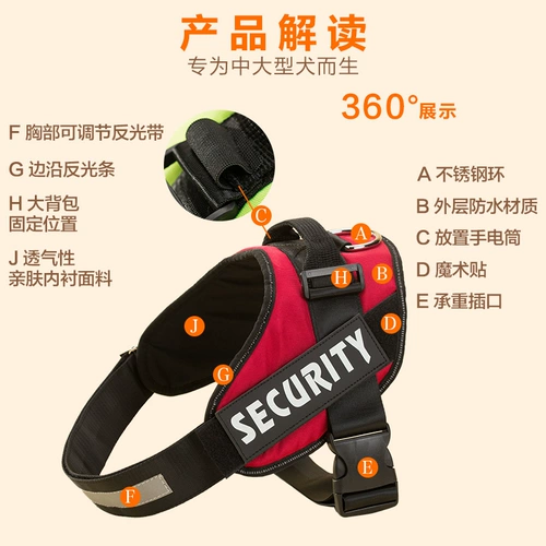 BIDTH BEASS, большой взрыв собак -Произволенная большая собака среднего размера