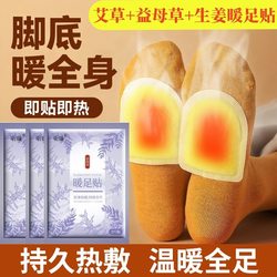 생강 마더 와트와 뮤즈 워트 풋 워닝 패치, 겨울에는 발바닥을위한 냉기 및 따뜻한 패치, 아기를 따뜻하게하기위한 자조 신발
