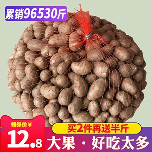 [新鲜大号颗粒铁棍山药豆陈集农家淮怀山药蛋糖葫芦山药豆5斤装]