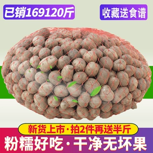[2025新鲜铁棍白玉山药豆非温县大果小籽蔬菜陈集怀淮山药蛋包邮]
