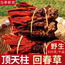 Wild rejuvenation grass ageless grass Yunnan special rejuvenation grass wolfberry soaked in wine medicinal materials soaked in water mens health 500