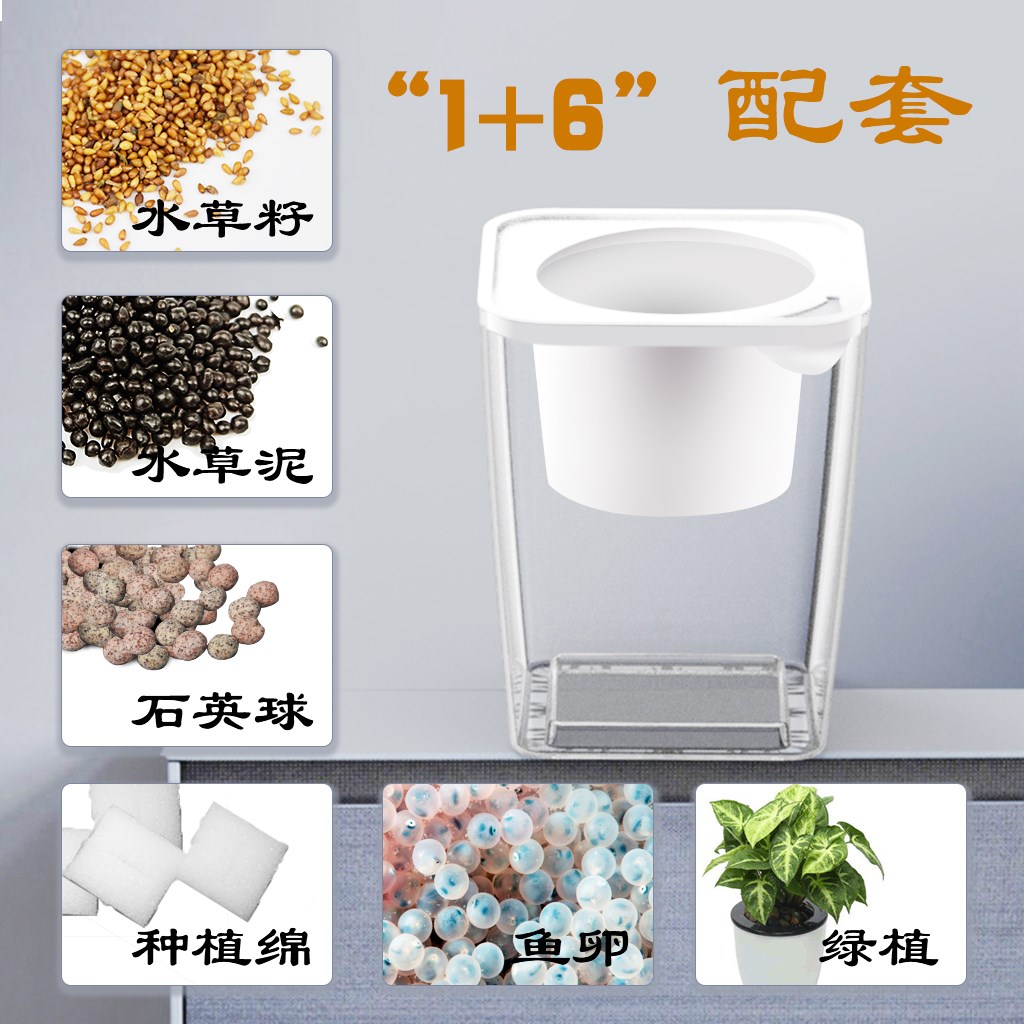生態魚菜共生水草籽景觀造景超白桌面水草植物免換水魚卵迷你魚缸 生態魚菜共生水草籽景觀造景超白桌面水草植物免換水魚卵迷你魚缸